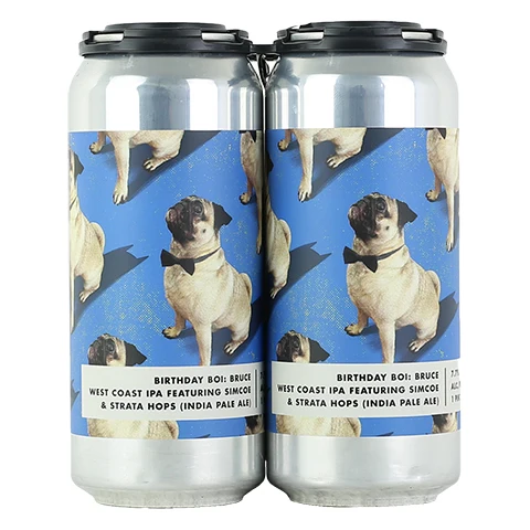 Bottle Logic Birthday Boi: Bruce IPA