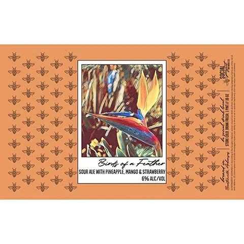 Social Project Birds Of A Feather Sour Ale